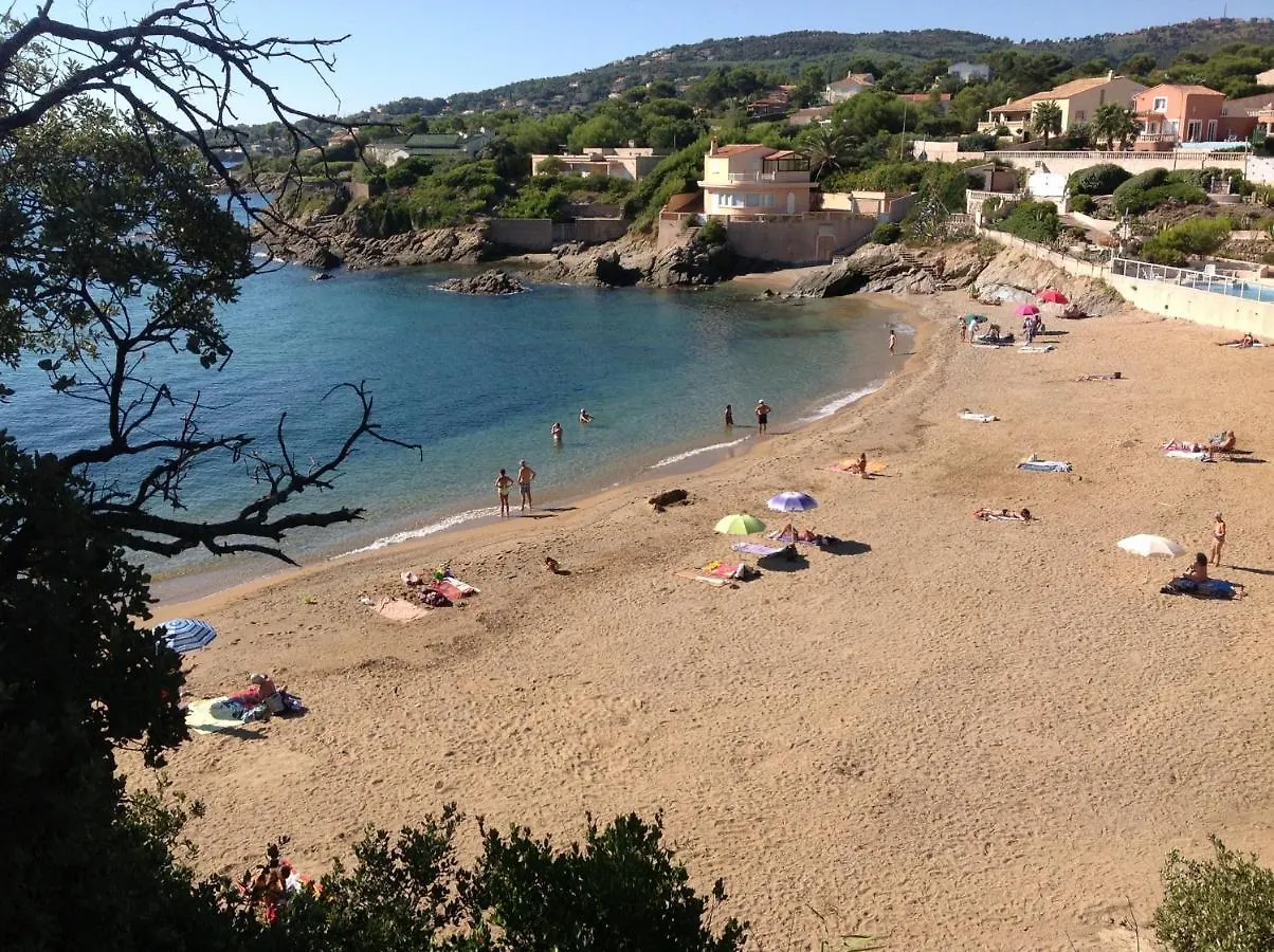 Appartement Charmant A Frejus 40 M² Proche Du Jardin Apartment
