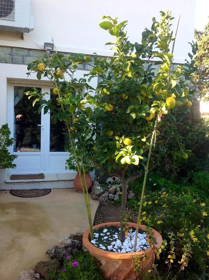 Apartment Appartement Charmant A Frejus 40 M² Proche Du Jardin France